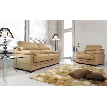 Sofá de la sala de estar con el sofá moderno del cuero genuino fijado (c520B)